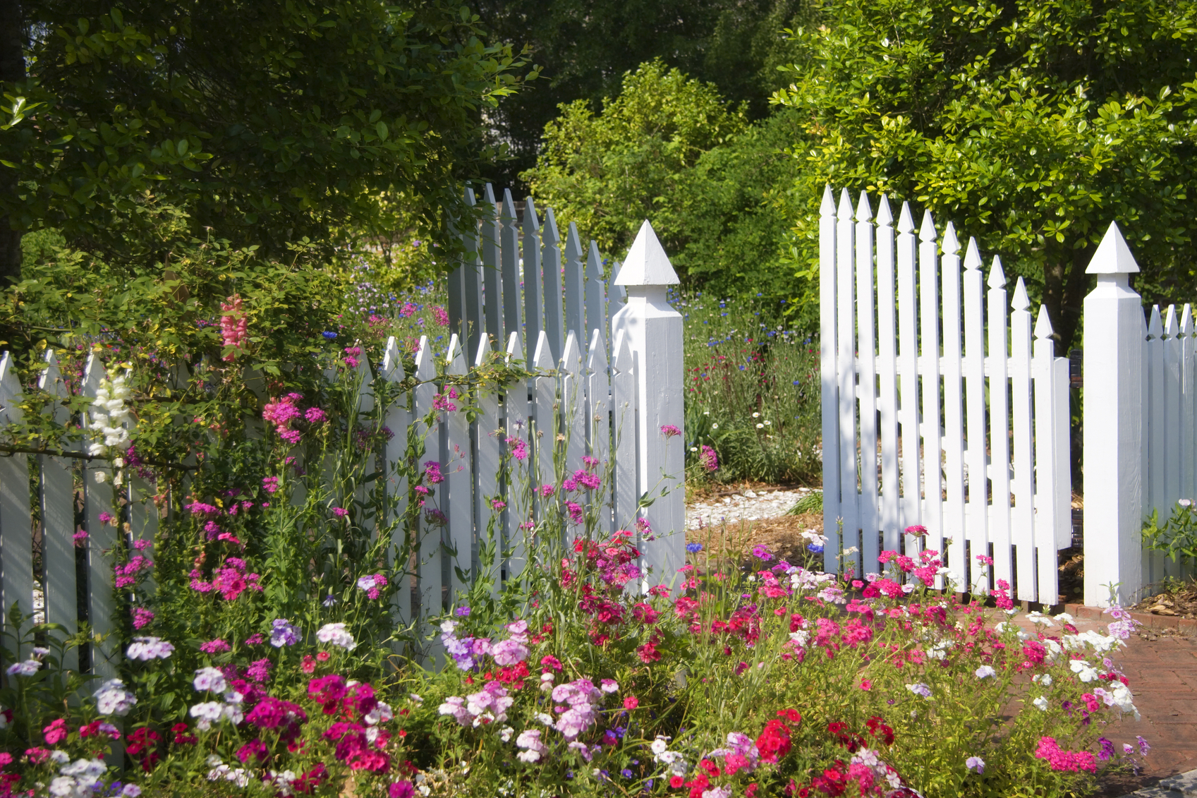 Beautiful Garden with open white gate Beautiful Garden with Fencing
